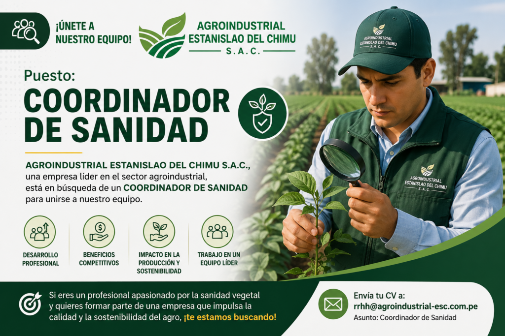 COORDINADOR DE SANIDAD