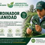 COORDINADOR DE SANIDAD