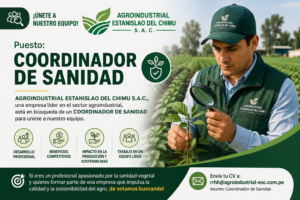 COORDINADOR DE SANIDAD