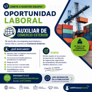 AUXILIAR DE COMERCIO EXTERIOR